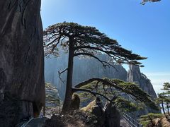 -黄山风景区