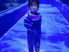 -邯郸海洋世界
