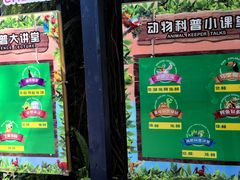 -广州长隆飞鸟乐园