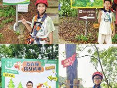 -芦仙山景区-飞越丛林探险乐园