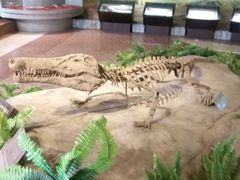 -自贡恐龙博物馆