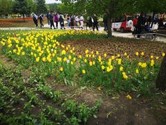 -长春公园(普阳街道)