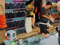 -清平路水族市场