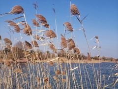 -贡湖湾湿地公园