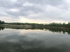 -东郊湿地公园