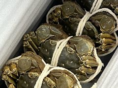 -阳澄湖大闸蟹·琼灵阁牌品牌连锁(吴中总店)