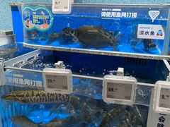 水产区-盒马鲜生(富田新天地店)