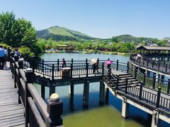 -石塘人家