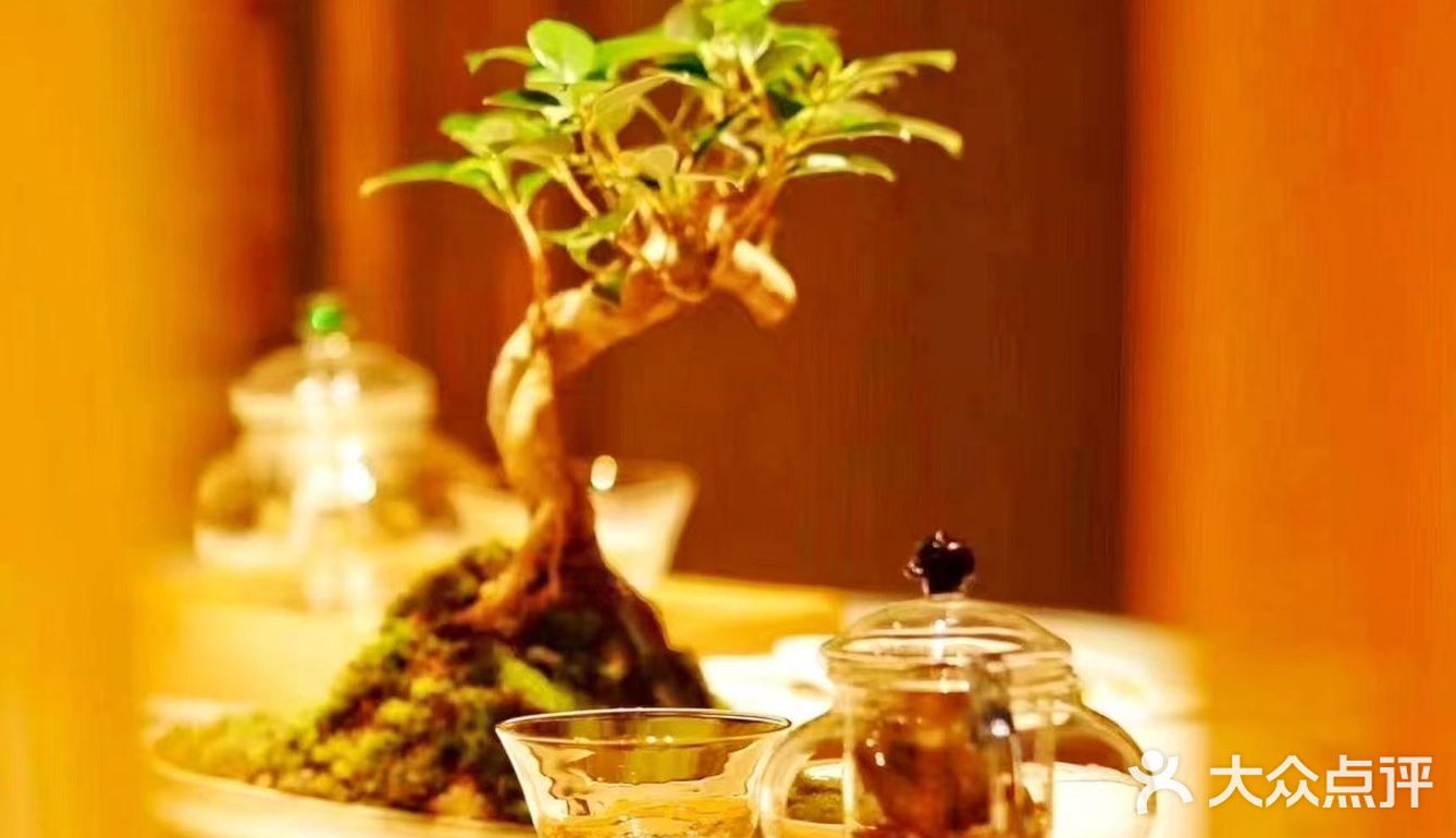 叶叶菩提 今天你吃素了吗