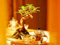 -叶叶菩提(太原别墅店)