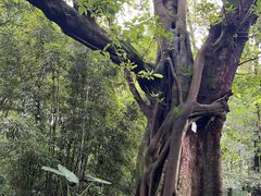 -成都杜甫草堂博物馆