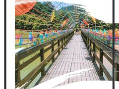 -千岛湖龙川湾