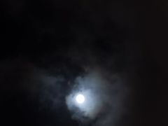 -七浦路服装批发市场