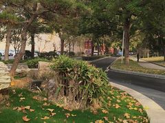 -河南省黄河迎宾馆