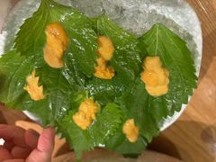 -初花·日本料理