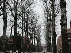 -中国农业大学(西校区)