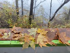 -玉渡山自然风景区