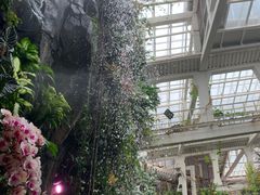 -正佳雨林生态植物园