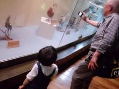 -陕西自然博物馆