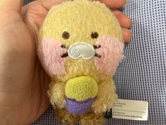 -line friends(明洞旗舰店)