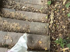 -桂林兴坪漓江
