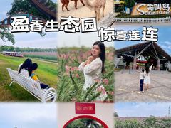 -盈香心动乐园