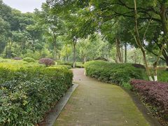 -重庆彩云湖湿地公园