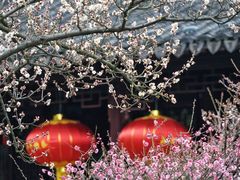 -南园(太仓市)