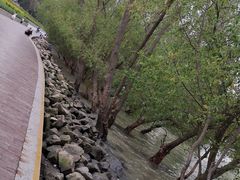 -宝安西湾红树林湿地公园