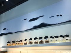 -BLACKSWAN黑天鹅(环球店)