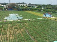-广州花之恋城堡酒店