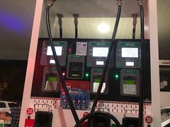 -中国石化金城加油站