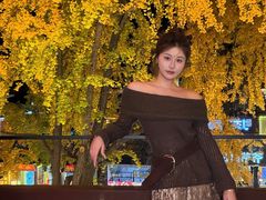 -奇芳阁·百年清真南京菜(夫子庙店)