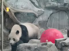 -武汉动物园