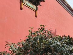 -北京市劳动人民文化宫