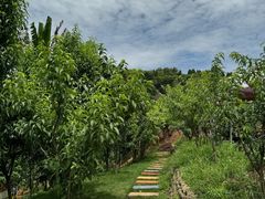 -桃源山庄·水蜜桃采摘·柴火鸡·烧烤团建(龙泉山店)