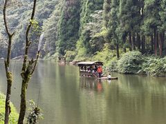 -龙苍沟森林公园