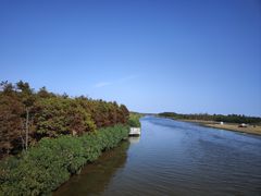 -春花秋色城市公园