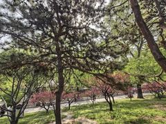 -丰台花园
