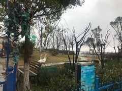 -上海滴水湖皇冠假日酒店