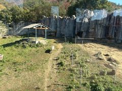 -无锡动物园·太湖欢乐园