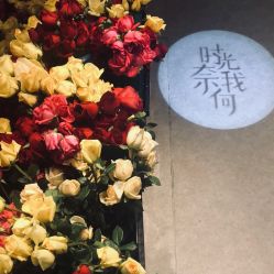 -奈瑞儿美颜塑身SPA