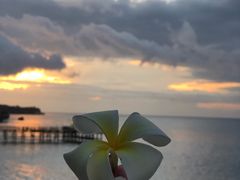 -Rock Bar Bali(Bali)