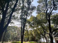 -东湖落雁景区