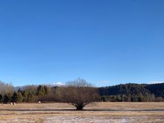 -北极村旅游风景区