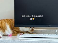 -御宝贝24h宠物医院·转诊中心·CT核磁血透中心(厦门总院)