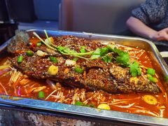 -沈胖子音乐烤吧·炒菜·龙虾(环城东路店)