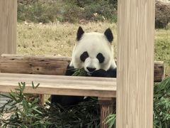 -无锡动物园·太湖欢乐园
