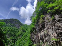 -朱雀国家森林公园