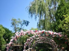 -天毓山庄·餐厅